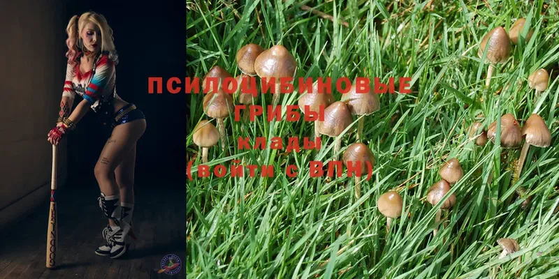 купить закладку  Инта  Галлюциногенные грибы Psilocybine cubensis 